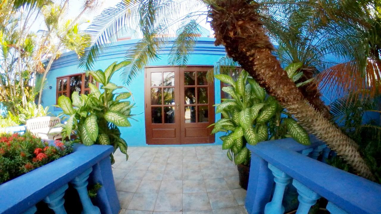 De Cuba Bed & Breakfast Noord Kültér fotó