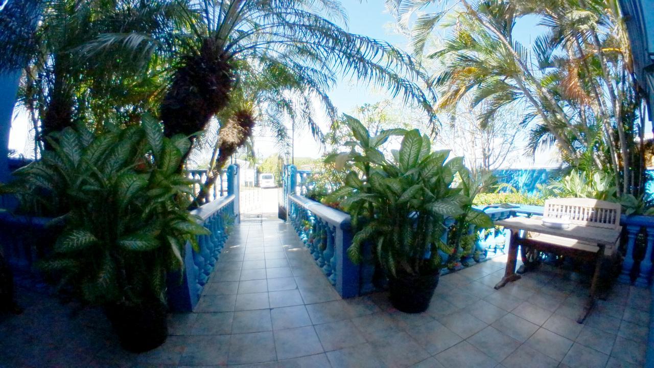 De Cuba Bed & Breakfast Noord Kültér fotó