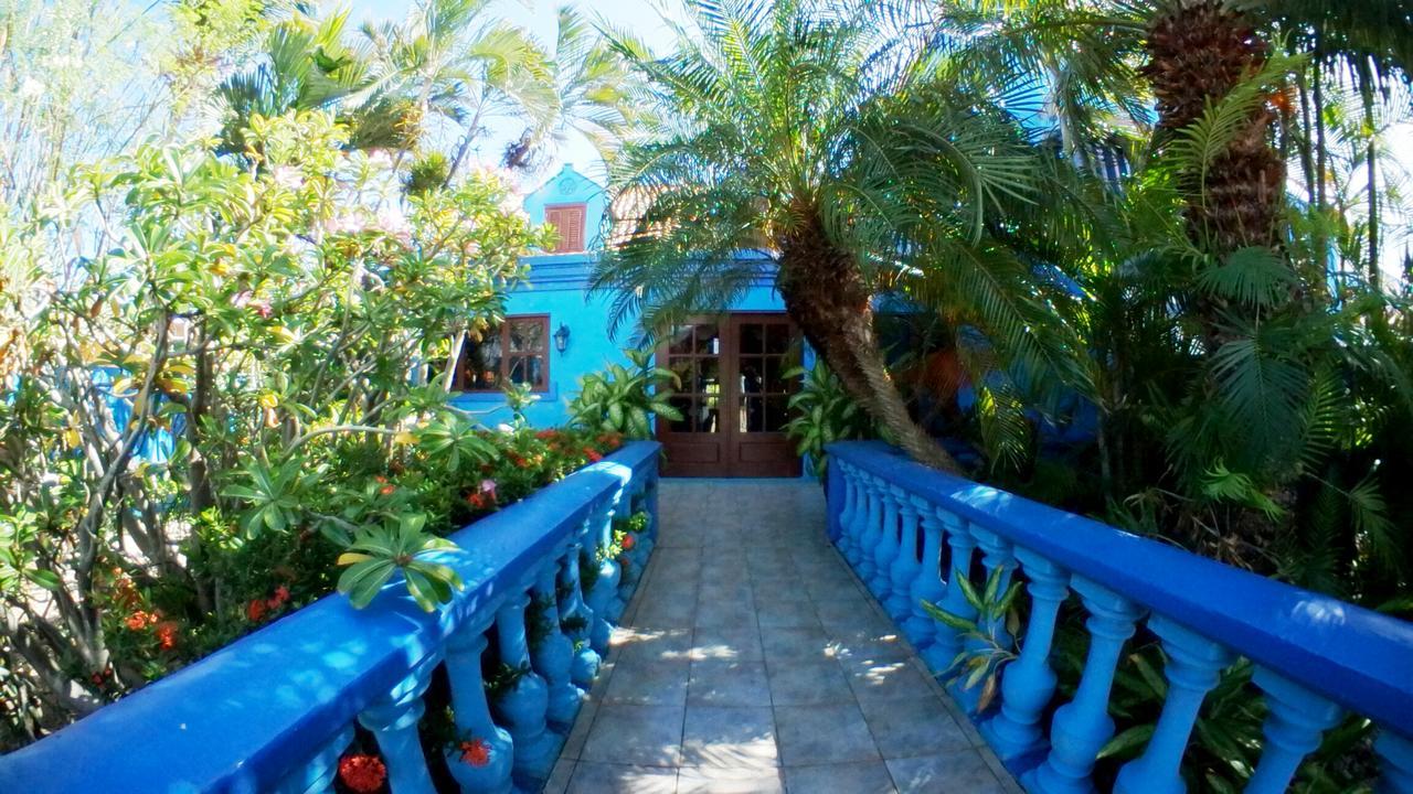 De Cuba Bed & Breakfast Noord Kültér fotó