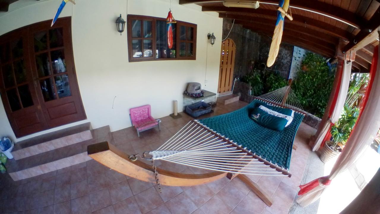 De Cuba Bed & Breakfast Noord Kültér fotó